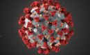 coronavirus_covid-19
