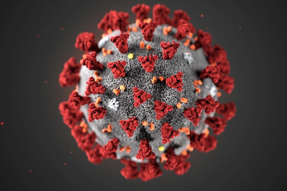coronavirus_covid-19